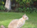 View full size picture