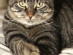 View full size picture