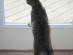 View full size picture