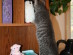 View full size picture