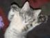 View full size picture