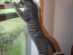 View full size picture