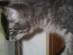 View full size picture