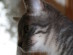 View full size picture