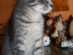 View full size picture