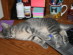 View full size picture
