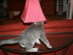 View full size picture