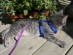 View full size picture