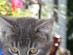 View full size picture