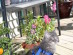 View full size picture