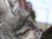 View full size picture