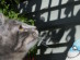 View full size picture