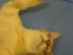 View full size picture