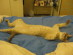 View full size picture