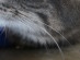 View full size picture