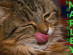 View full size picture