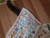 View full size picture