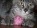 View full size picture