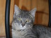 View full size picture