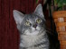 View full size picture