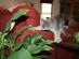 View full size picture