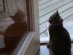 View full size picture
