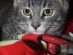 View full size picture