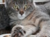 View full size picture