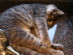 View full size picture