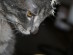 View full size picture