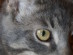 View full size picture