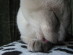 View full size picture
