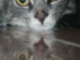 View full size picture