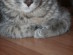 View full size picture