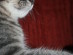 View full size picture