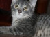 View full size picture