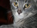 View full size picture