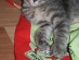 View full size picture