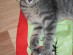 View full size picture