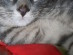 View full size picture