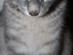 View full size picture