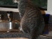View full size picture