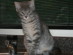View full size picture
