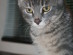 View full size picture