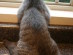 View full size picture