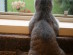 View full size picture