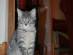 View full size picture