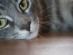 View full size picture