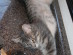 View full size picture
