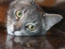 View full size picture